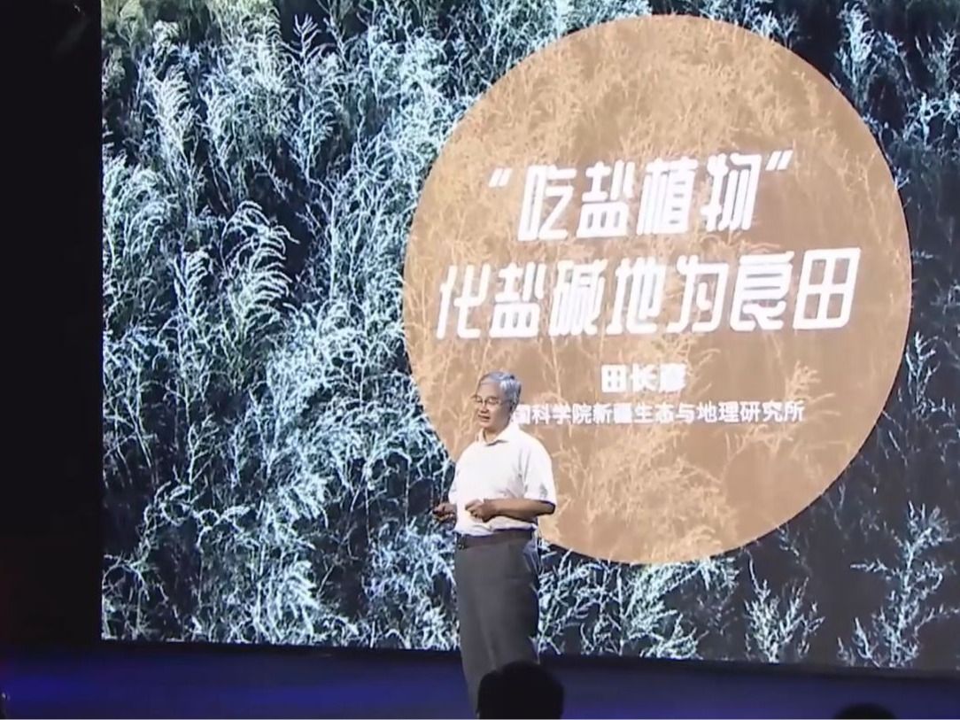 学术讲座：格致论道-吃盐植物