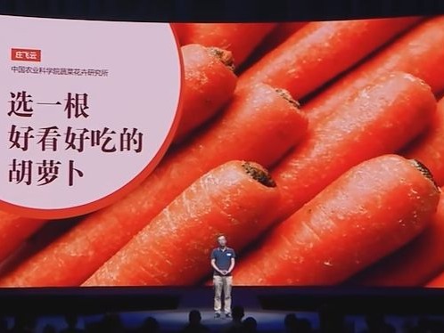 学术讲座：格致论道-胡萝卜育种