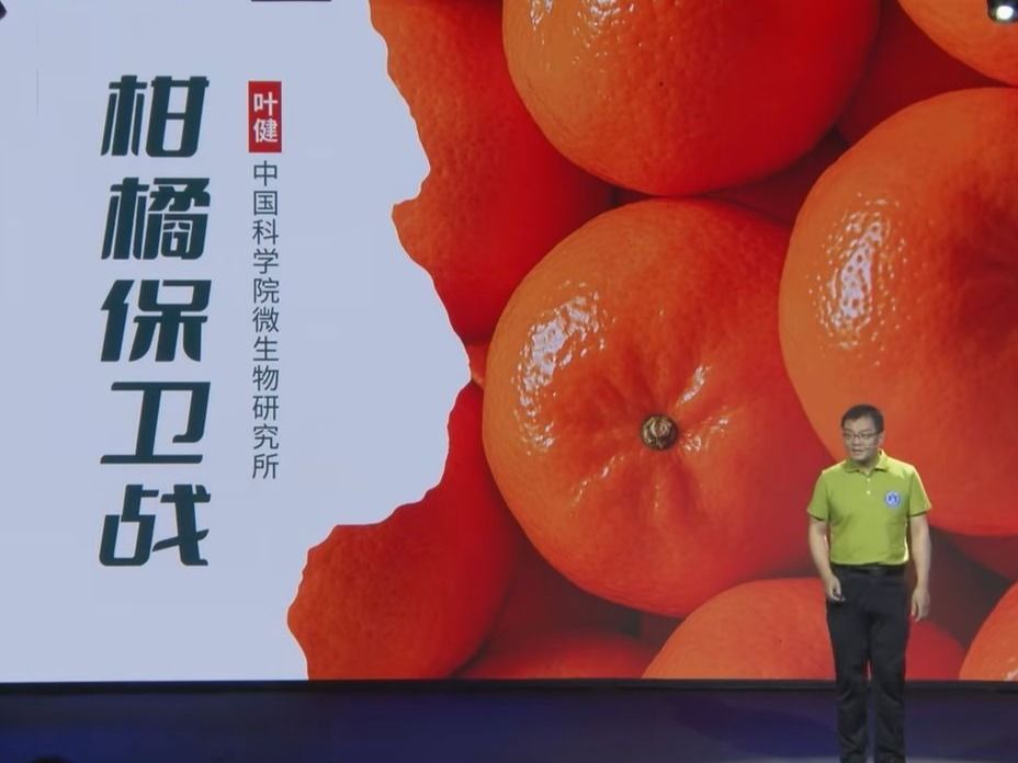 学术讲座：格致论道-柑橘“绝症”